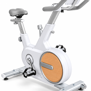 Premium Indoor Spin Bike